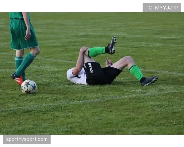 任意球规则拆解：哪些犯规触发，怎么正确执行判罚？